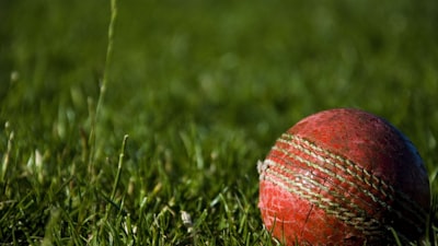 英雄联盟S13全球总决赛T1战队夺冠之路纪录片